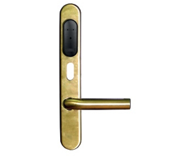 Gate-IP-Lock (IP500)