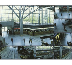 MVS-MW