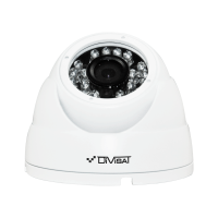 DVI-D225 POE LV v2.0