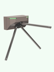 Т7М1